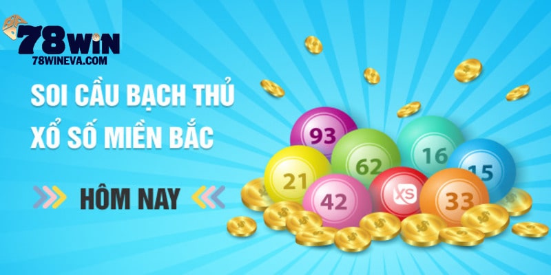 Bạch Thủ Lô Miền Bắc