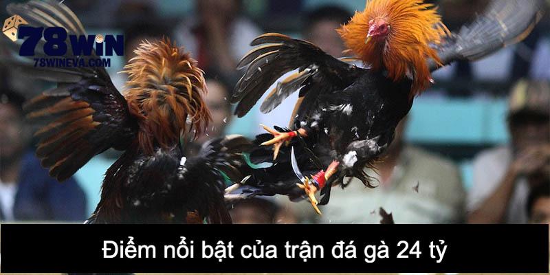 Điểm đáng chú ý của trận đá gà 24 tỷ kinh điển