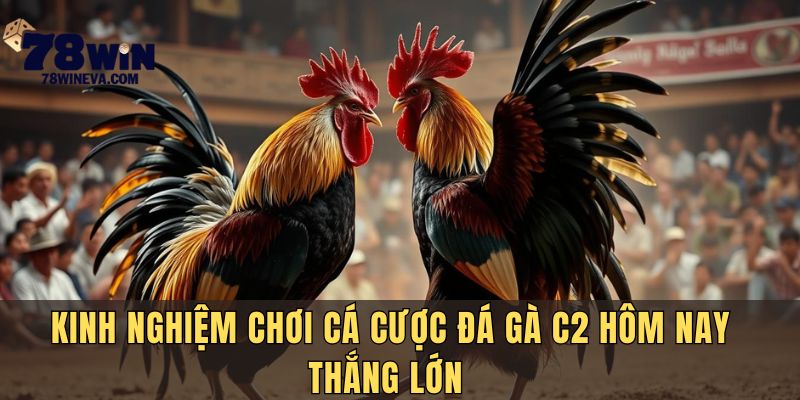 Kinh nghiệm chơi đá gà C2 luôn thắng