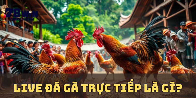 Live đá gà trực là như thế nào?