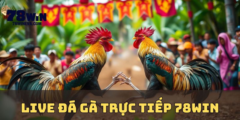Live đá gà trực tiếp 78win