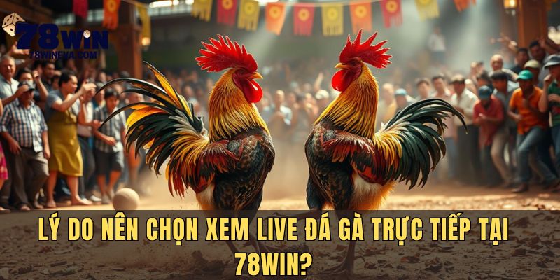 Lý do nên chọn live đá gà trực tiếp tại 78Win?