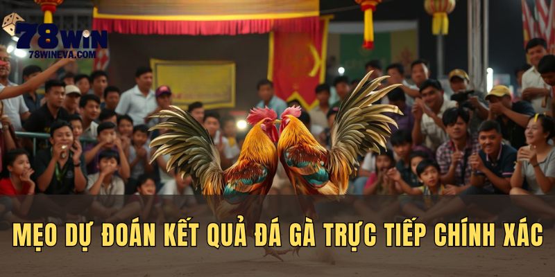 Mẹo dự đoán đá gà trực tiếp 