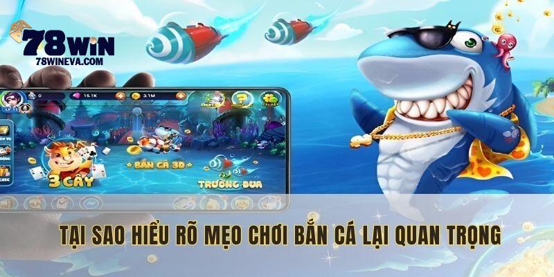 Những lý do khiến việc tìm hiểu mẹo chơi bắn cá trở thành yếu tố then chốt