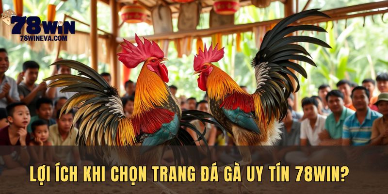 Những ưu điểm khi chọn đá gà 78Win?
