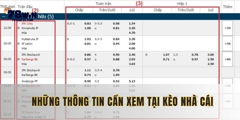 Phân tích chi tiết dựa trên số liệu thống kê