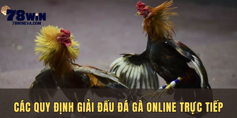 Quy định giải đấu live đá gà trực tiếp tại 78win