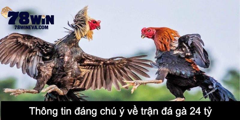 Thông tin đáng chú ý về trận đá gà 24 tỷ